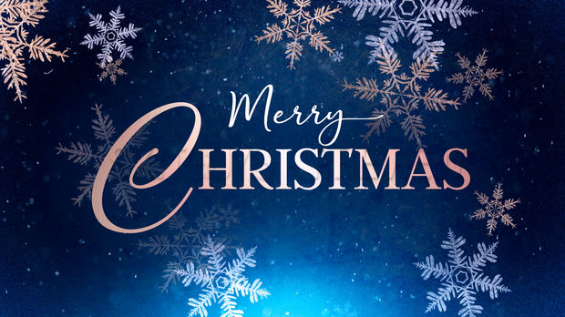 Merry Christmas from the NYS Firearms Association!