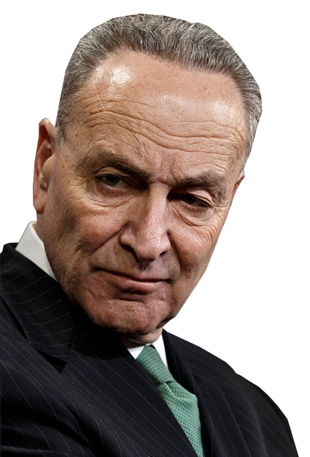 Tell Schumer that passing H.R. 8 will cost him the majority in 2022!