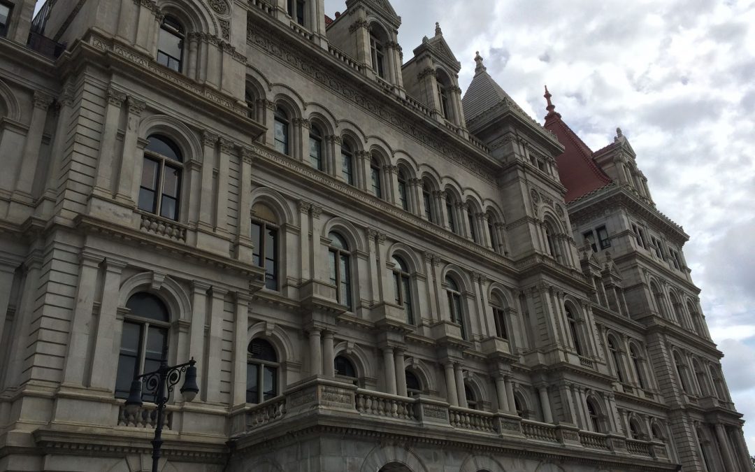Update from Albany: Four Massive Gun Control Bills Confronting Us!