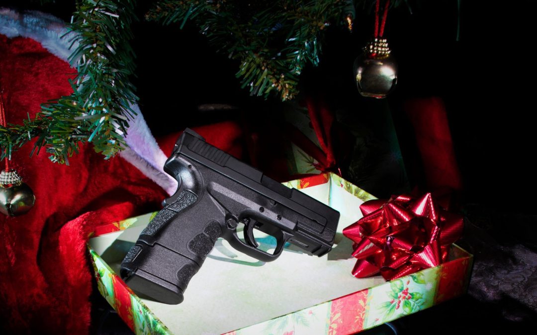Merry Christmas from the NY State Firearms Association!