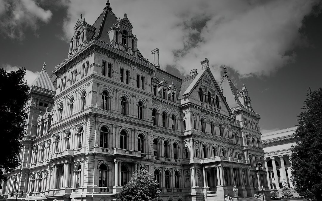 Help Us DEFEAT Hochul’s ‘Mental Health Gun Control!’