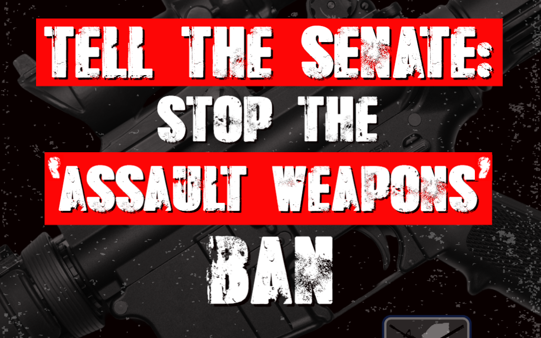 ‘Assault Weapons Ban’ is Their Top Priority!