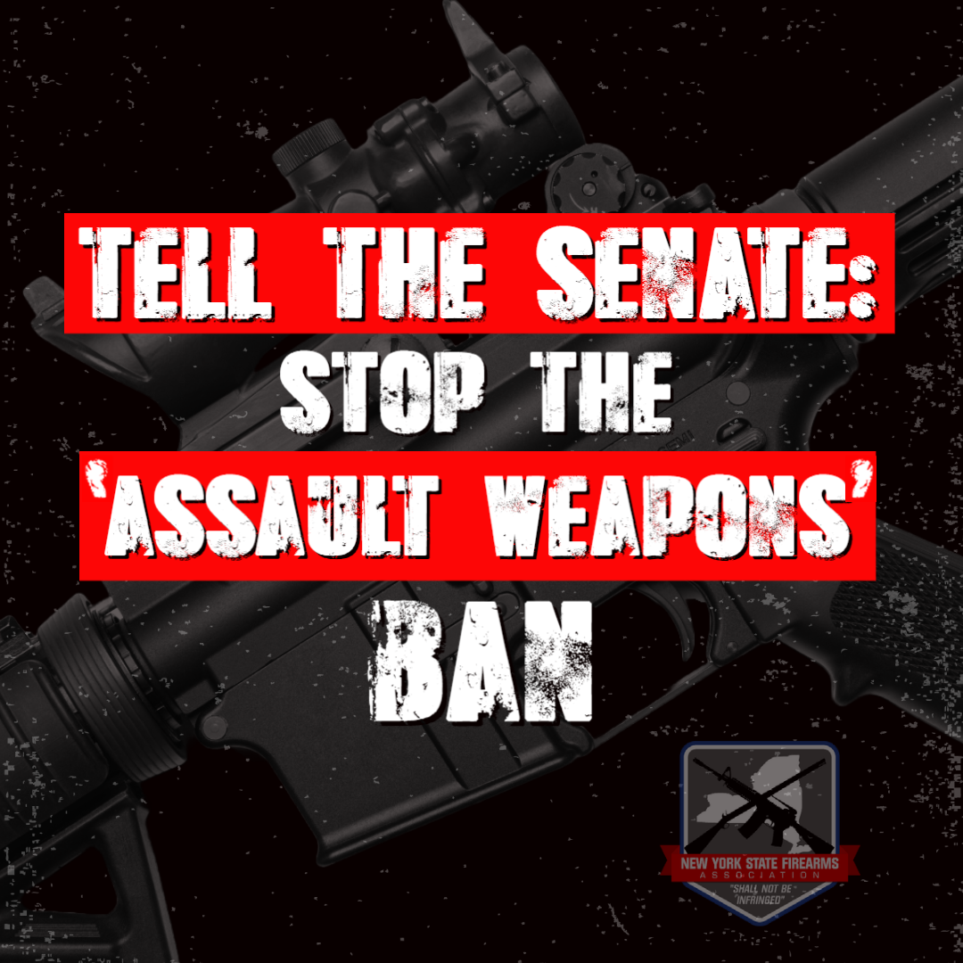 NYSFA-AW-BAN-Senate-1