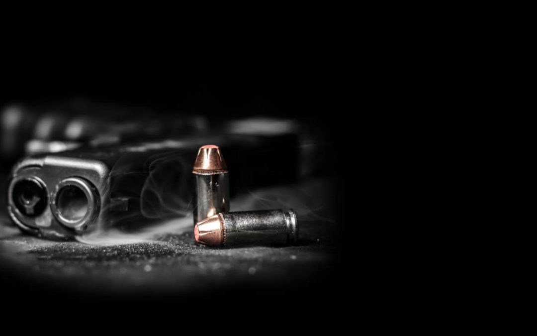 Gun Owner Survey: What Do You Think About These Critical 2A Issues In New York?