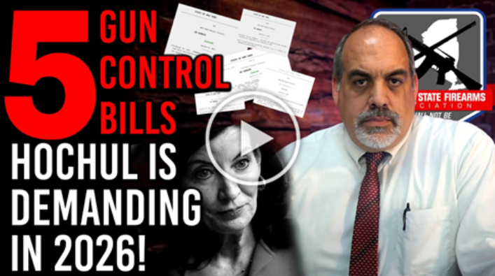 Video Update: Albany Moving Fast on Gun Control